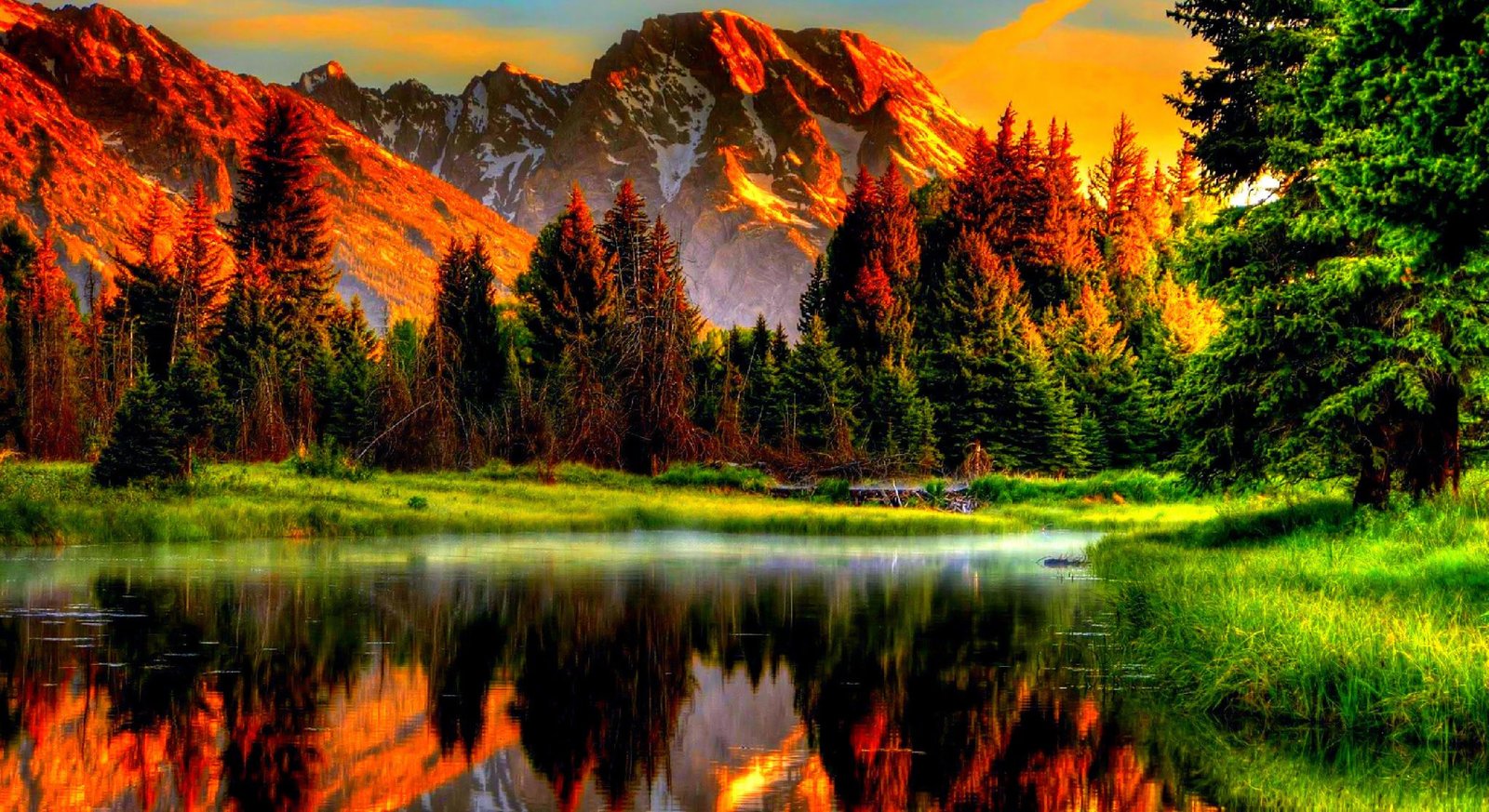 Colorful nature scenery Wallpaper download