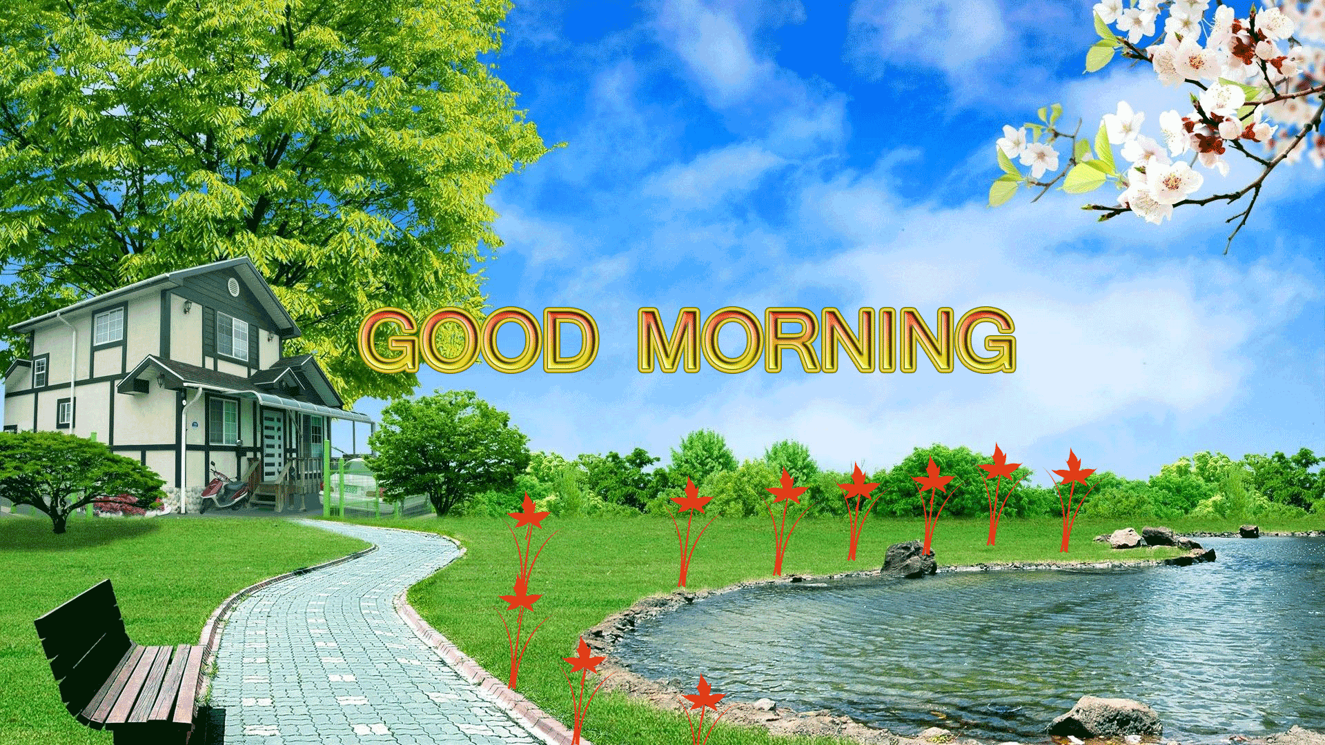 Good Morning beautiful Images & wallpapers 2019 free download