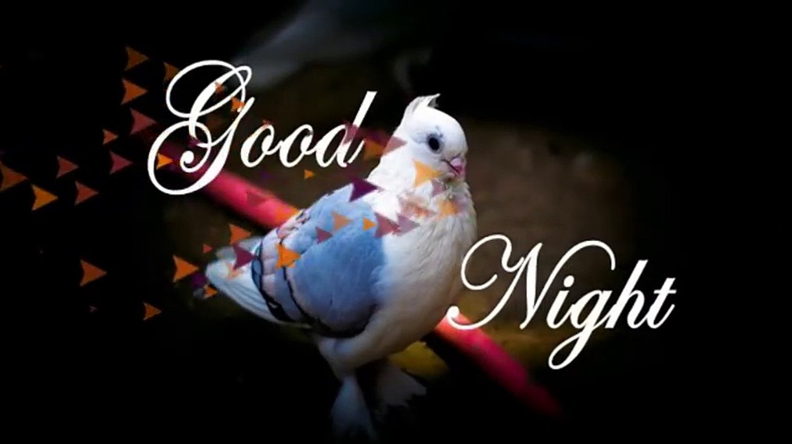 New Good night wishes images wallpapers 2019 free download