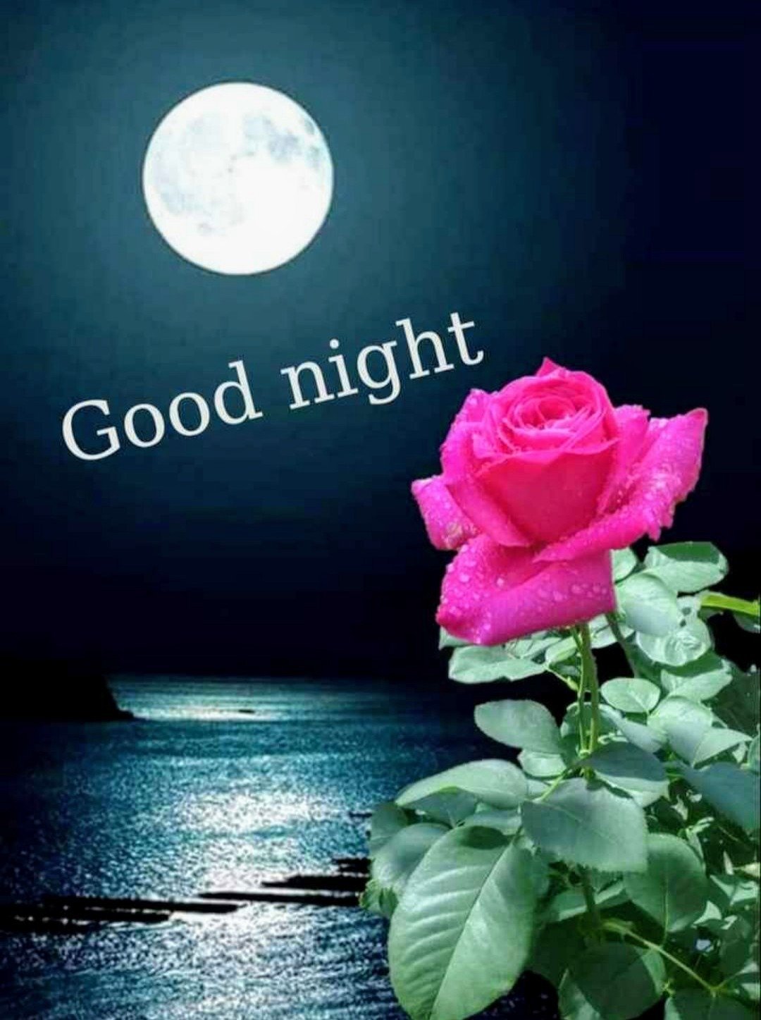 New Good night wishes images wallpapers 2019 free download