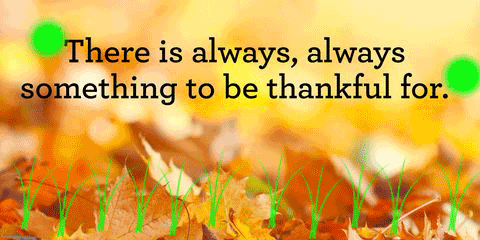 Thanksgiving day quotes for teachers