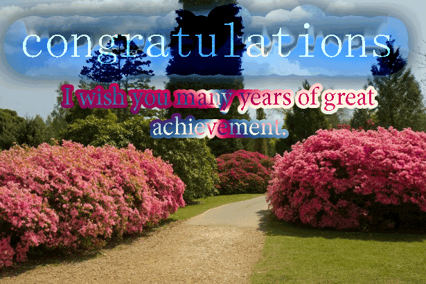 congratulations animated images