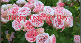 Happy Teachers day gifs images free download