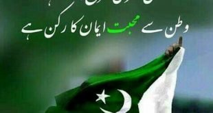 Pakistan Day lovely image